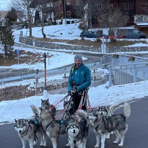 Husky-Trekking in Gramais