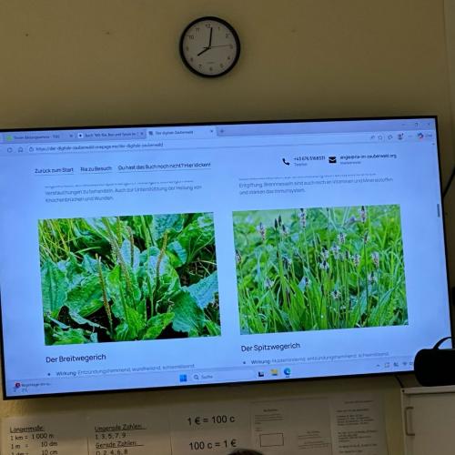 Geschichten aus dem Zauberwald