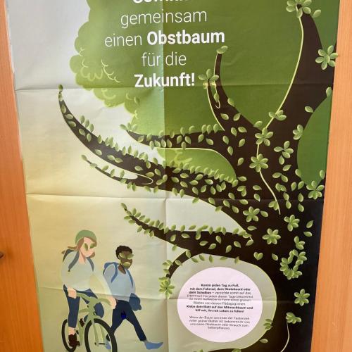 Projekt Autofasten