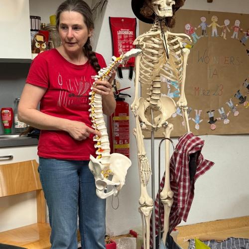 das Skelett