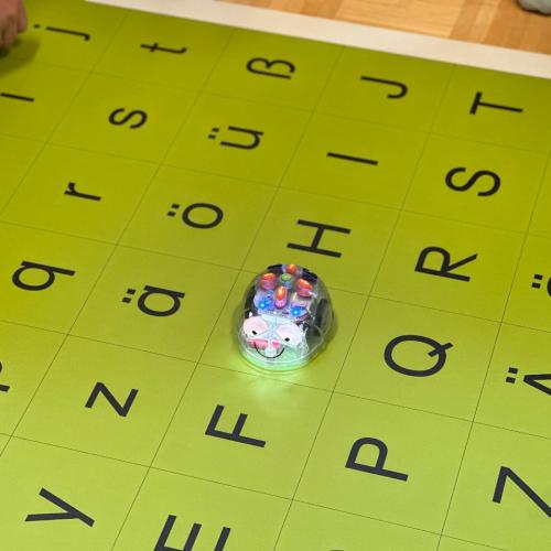 Coding mit Bee-Bots