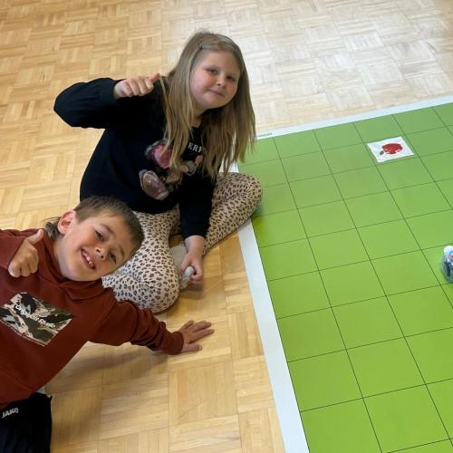 Coding mit Bee-Bots
