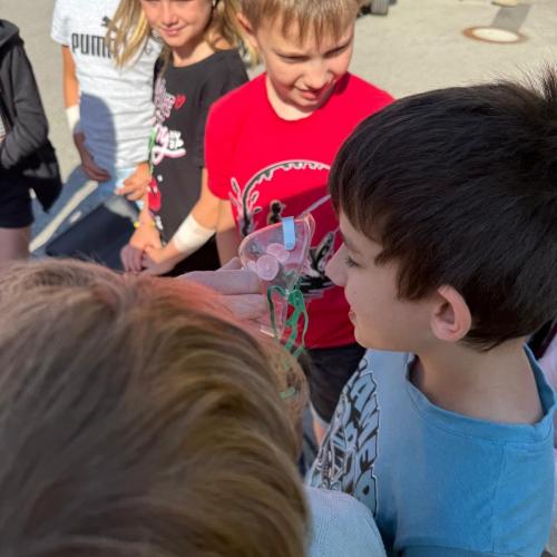  Rotes Kreuz meets School