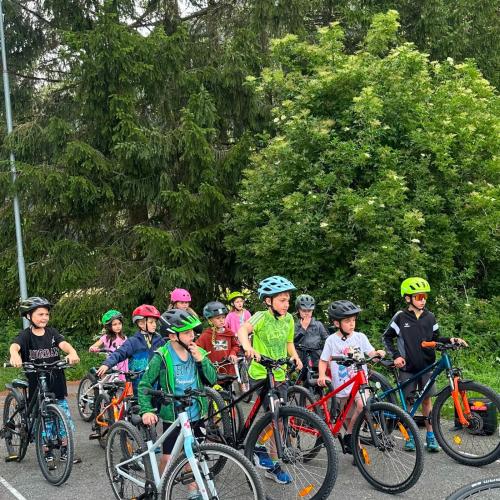 Rad- Workshop Propedal