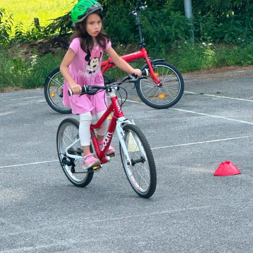Rad- Workshop Propedal