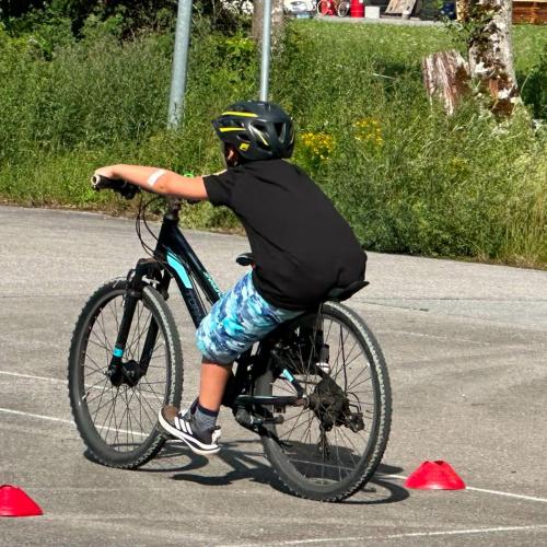 Rad- Workshop Propedal