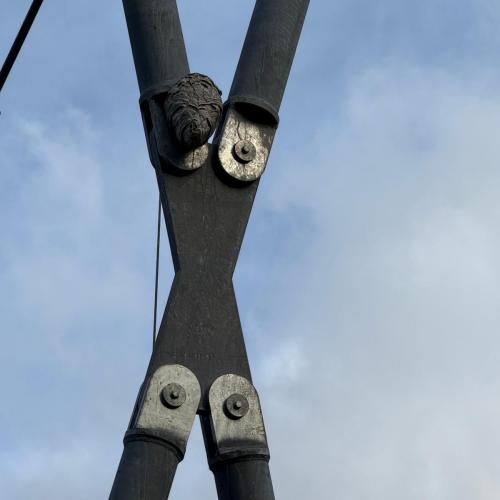 Wandertag Hängebrücke Forchach