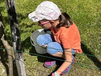 Viel Arbeit in unserem Schulgarten